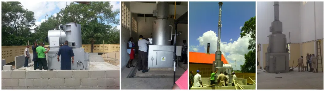 Wfs500 High Temperature Infectious Medical Solid Waste Incinerator Furnace